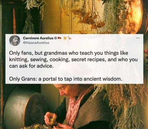 4 Carnivore Aurelius Only fans, but grandmas who teach you things like knitting, sewing, cooking, secret recipes, and who you can ask for advice. Only Grans: a portal tap into ancie wisdom. и