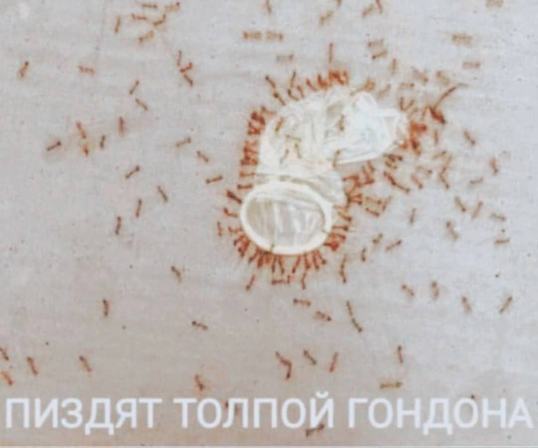 ПИЗДЯТ ТОЛПОЙ ГОНДОНА
