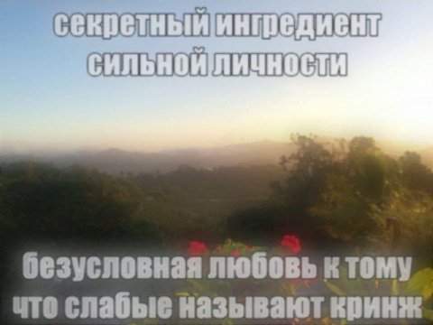 безусловная любовь ктому чте слабые называют кринж
