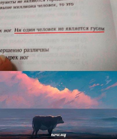 пункты не TO это плиоия к ног. Ни один человек является гусем ершенно различны НОГ я i