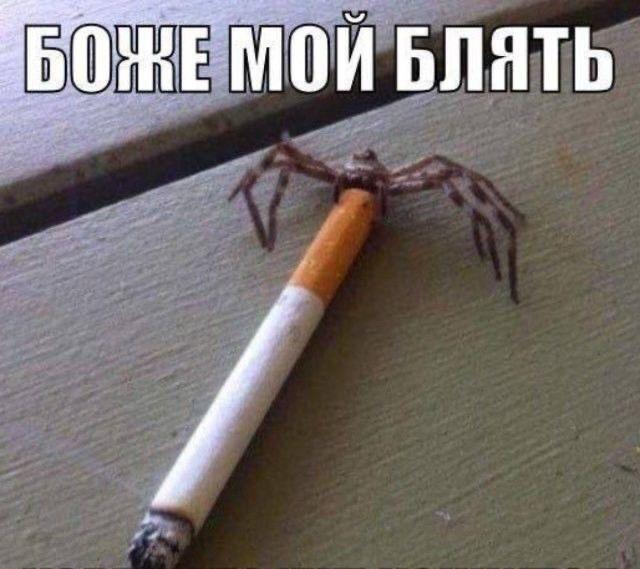 МОЙ БЛЯТЬ
