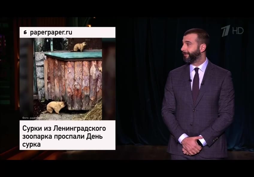 Сурки из Ленинградского зоопарка проспали День