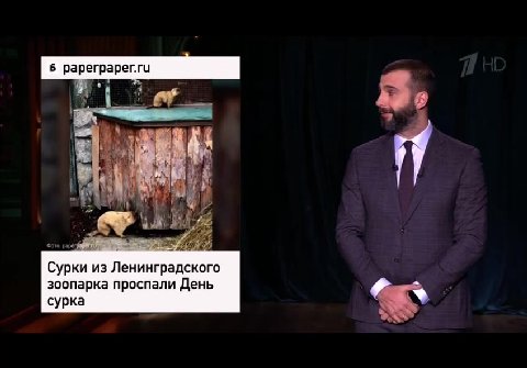Сурки из Ленинградского зоопарка проспали День
