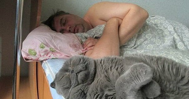 у 5 4