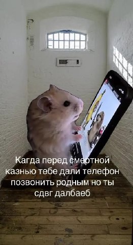 _ Karna nepegtme@ptHoit Г ik азнью тебе дали телефон позвонить роднымноты ^ сдвг далбаеб _ Кагдапередм@ртной RS oN агда перед смертной Re — Кагда перед ёмабтной а