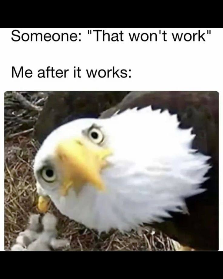 Someone: "That won't work" Me after it works: