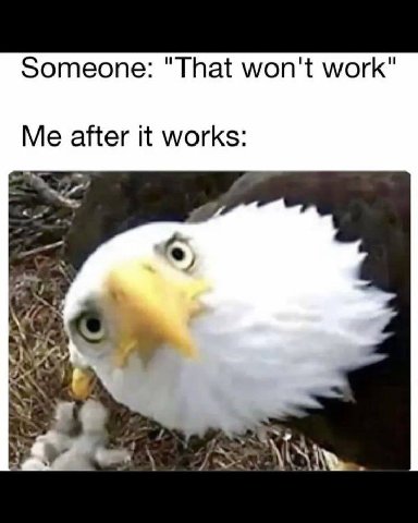 Someone: "That won't work" Me after it works: