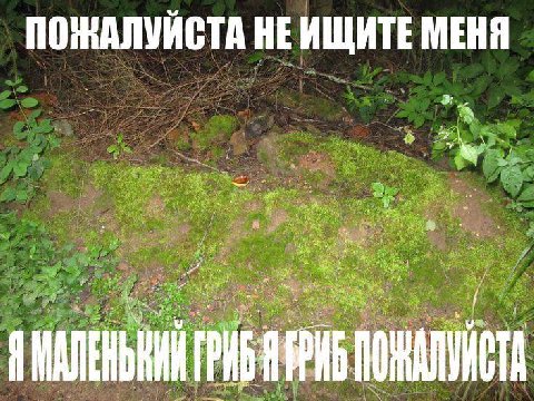 ПОЖАЛУЙСТА НЕИЩИТЕ МЕНЯ у