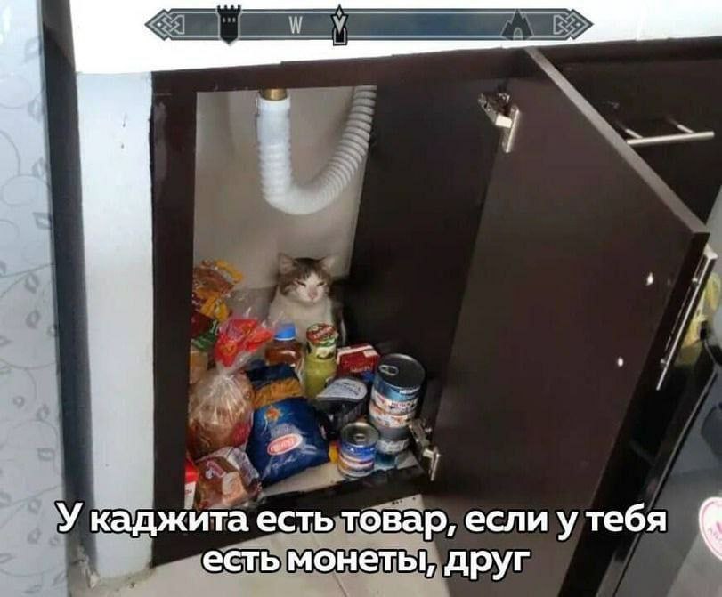 У каджита есть товар, если у тебя есть монеты, друг