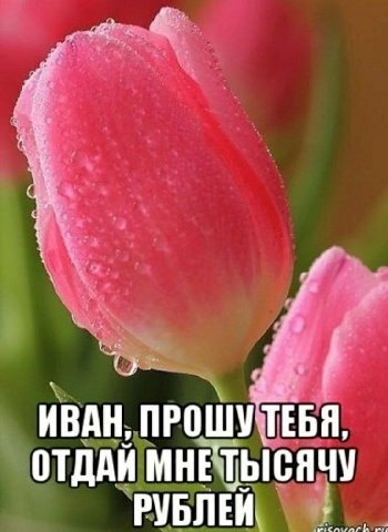 ПРОШУ ТЕБЯ, ОТДАЙ МНЕТЫСЯЧУ РУБЛЕЙ
