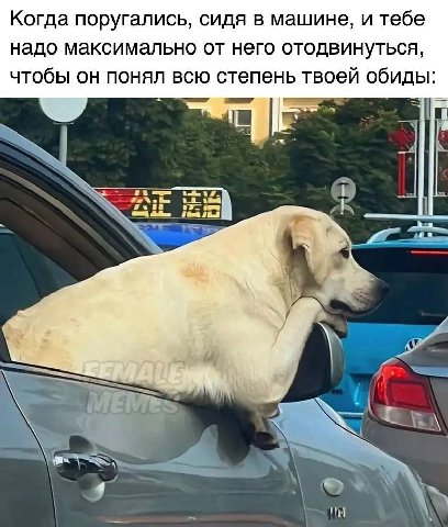Когда поругались, сидя в машине, и тебе надо максимально от него отодвинуться, чтобы он понял всю степень твоей обиды: 3 i 4 4 “4 9