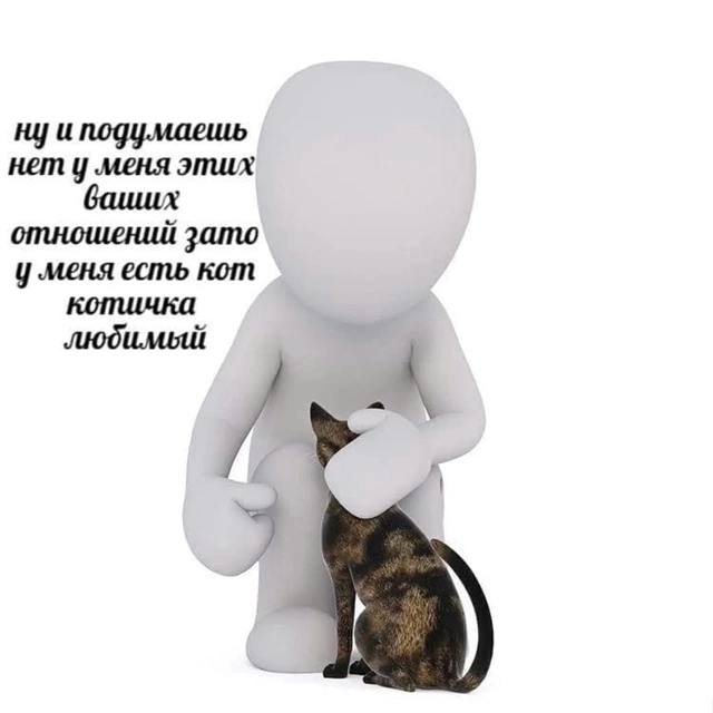 ну иподумаешь нет у меня этих баишх отношений зато у ‚меня есть кот котичка