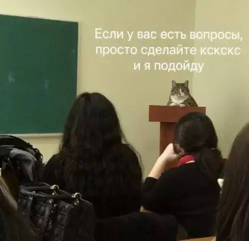 Если у вас есть вопросы, просто сделайте KCKCKC подойду