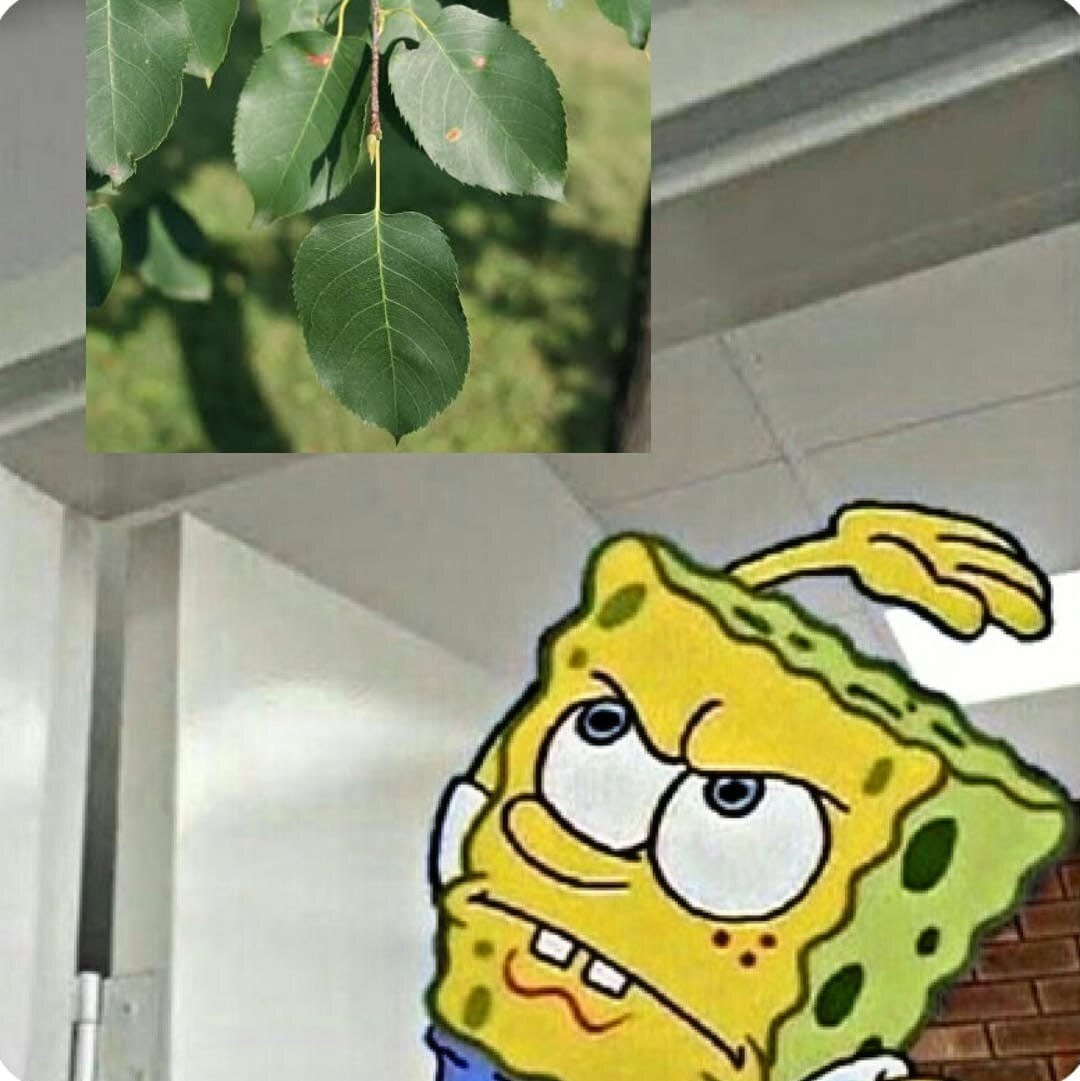 a к