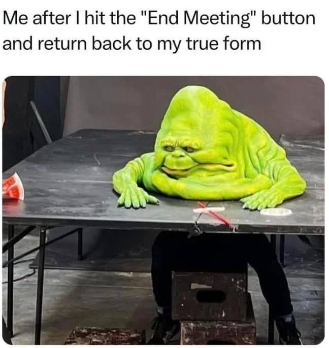 Me after hit the "End Meeting" button and return back to my true form А
