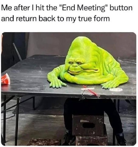 Me after hit the "End Meeting" button and return back to my true form А