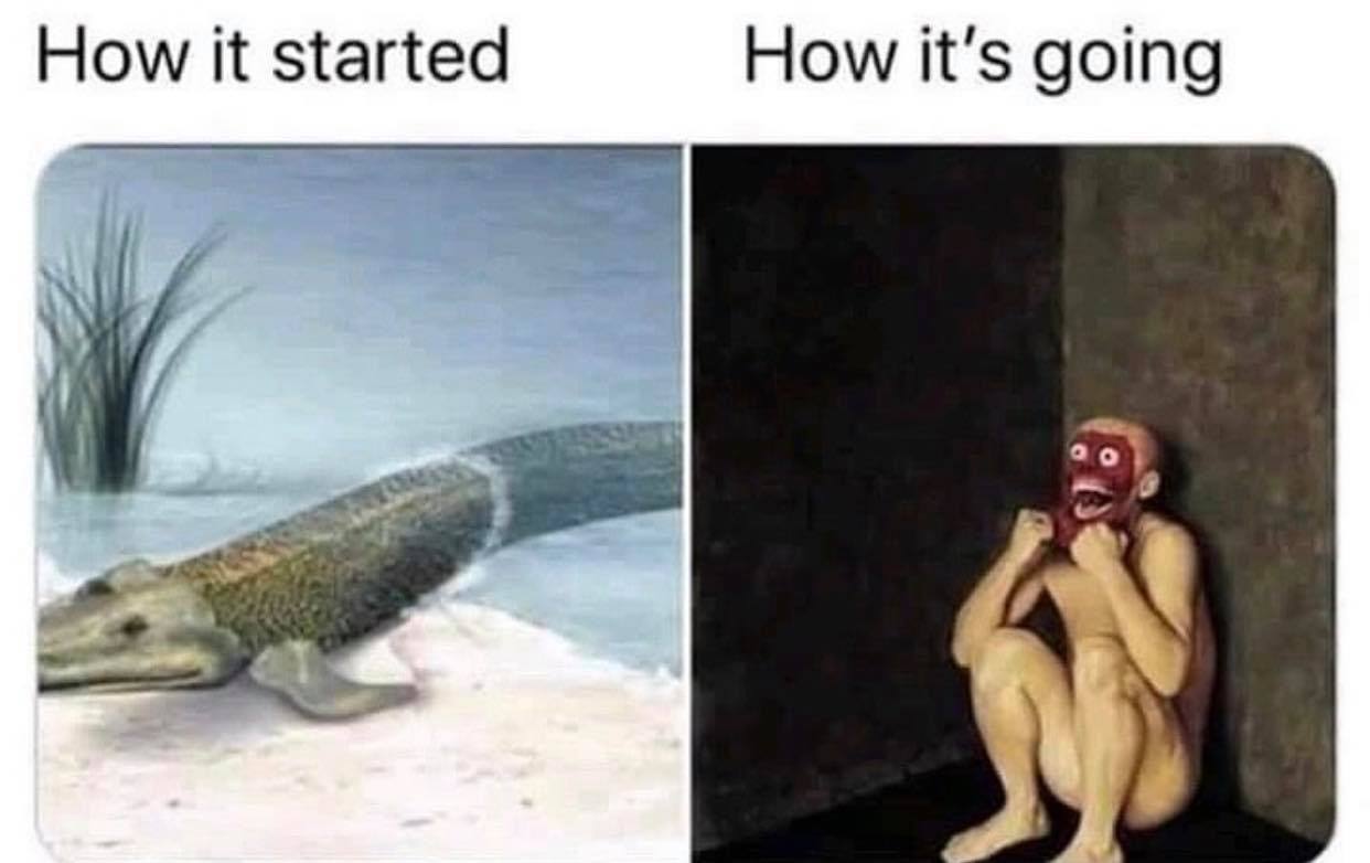 How it started How it's going 7