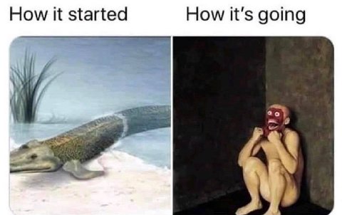 How it started How it's going 7
