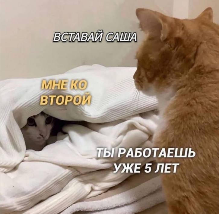 ВСТАВАЙ САША РАБОТАЕШЬ УЖЕ 5 ЛЕТ