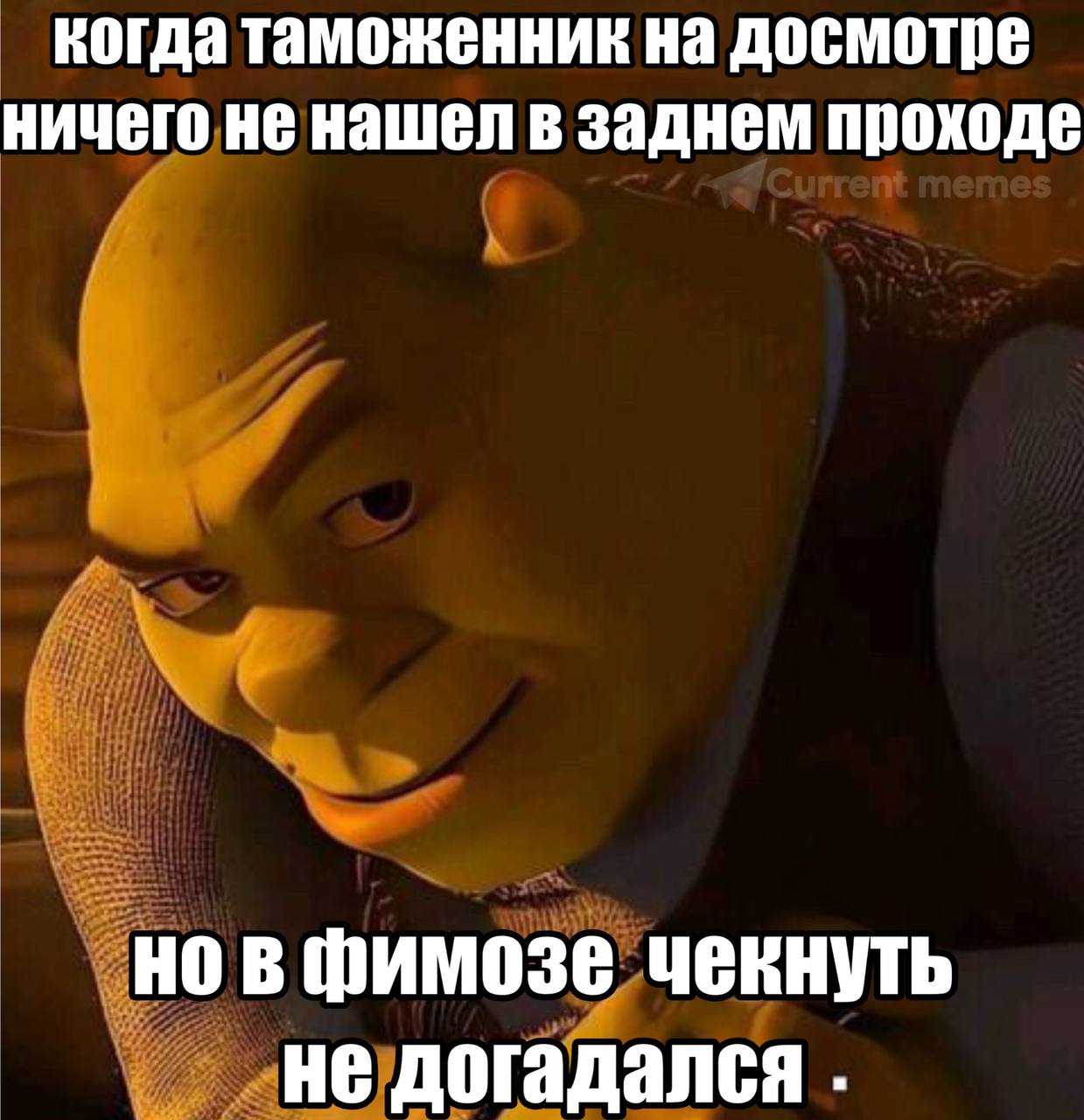 когда таможенник на досмотре ничего не нашел в заднем проходе нов фимозе чекнуть не догадался