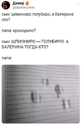 Дамир @damiriumm сын: шпиониро голубиро, а балерина кто? папа: крокодило? сын: ШПИОНИРО ГОЛУБИРО! А БАЛЕРИНА ТОГДА КТО? папа: