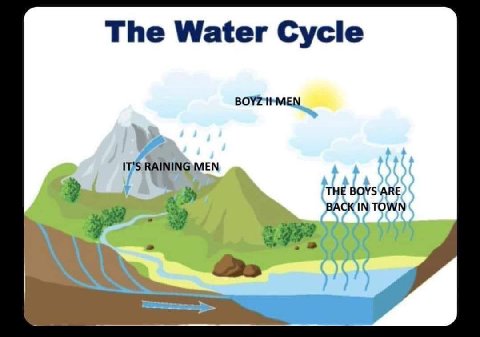 The Water Cycle IT'S RAINING MEN THE BOYS ARE BACK IN TOWN