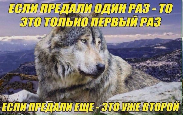ЕСЛИ ПРЕДАЛИ ОДИН РАЗ ТО ЭТО ТОЛЬКО ПЕРВЫЙ РАЗ a. we ВТОРОЙ