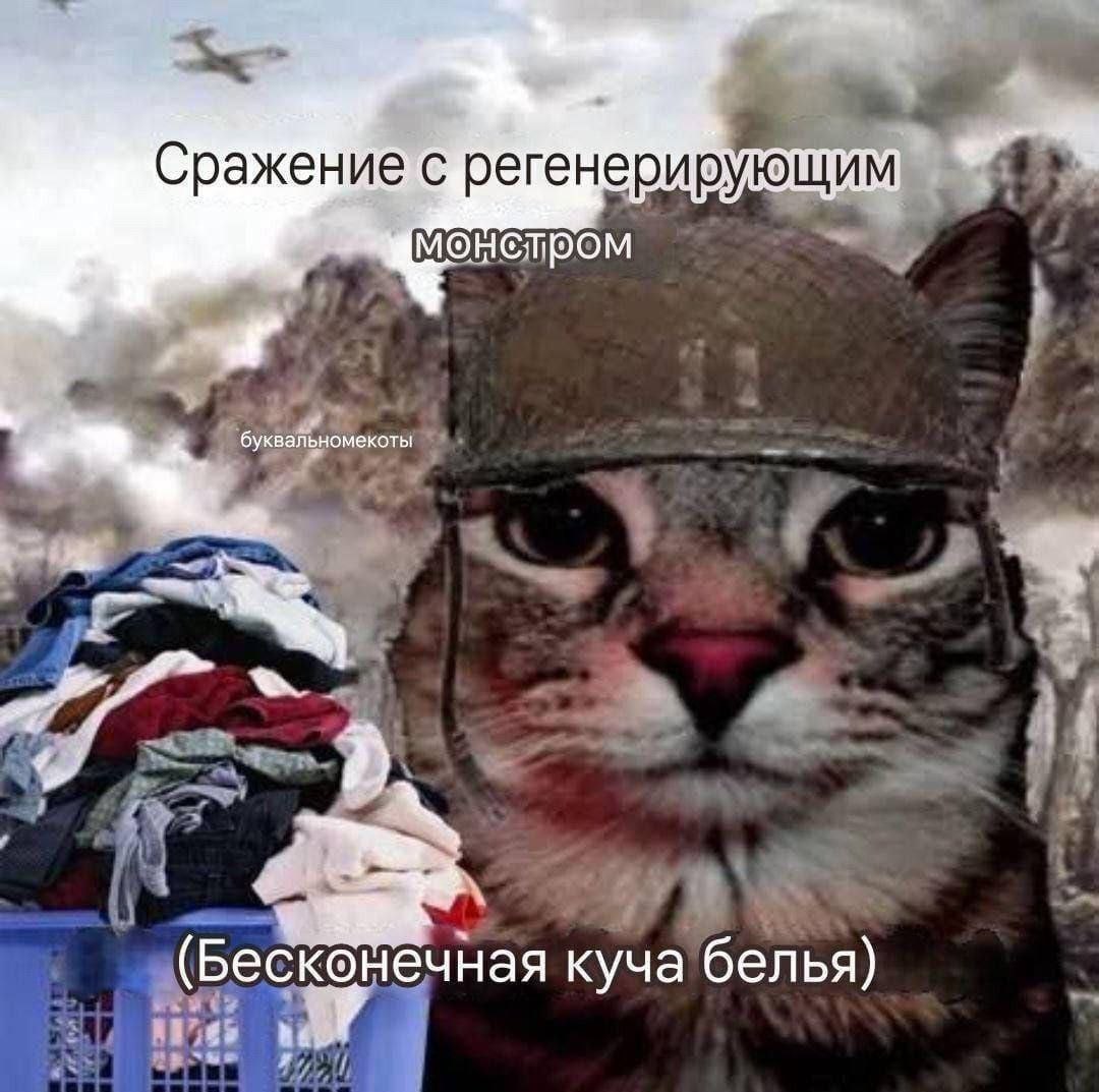 ение.с с регенерирующим монстром in (Бесконечная куча белья)