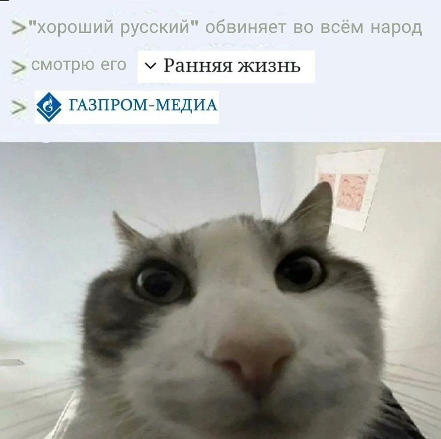 >"хороший русский" обвиняет во всём народ У смотрю его Ранняя жизнь ГАЗПРОМ-МЕДИА