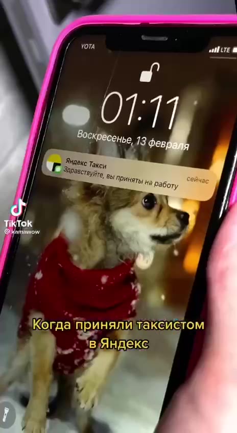 КОТА приняли м ] Воскоесенье 1 pn ЯНекс Такси . ] | LF Stvascreyine 861 Принять на se Когда Панядй таксистом / Воскресенье, 13 февй 8 if 1 Заравстуяте в Приняты на ‘работу ь №. ялй такеис Когда принял