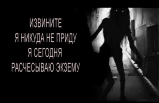 ИЗВИНИТЕ Я НИКУДА НЕ ПРИДУ Я СЕГОДНЯ РАСЧЕСЫВАЮ ЭКЗЕМУ