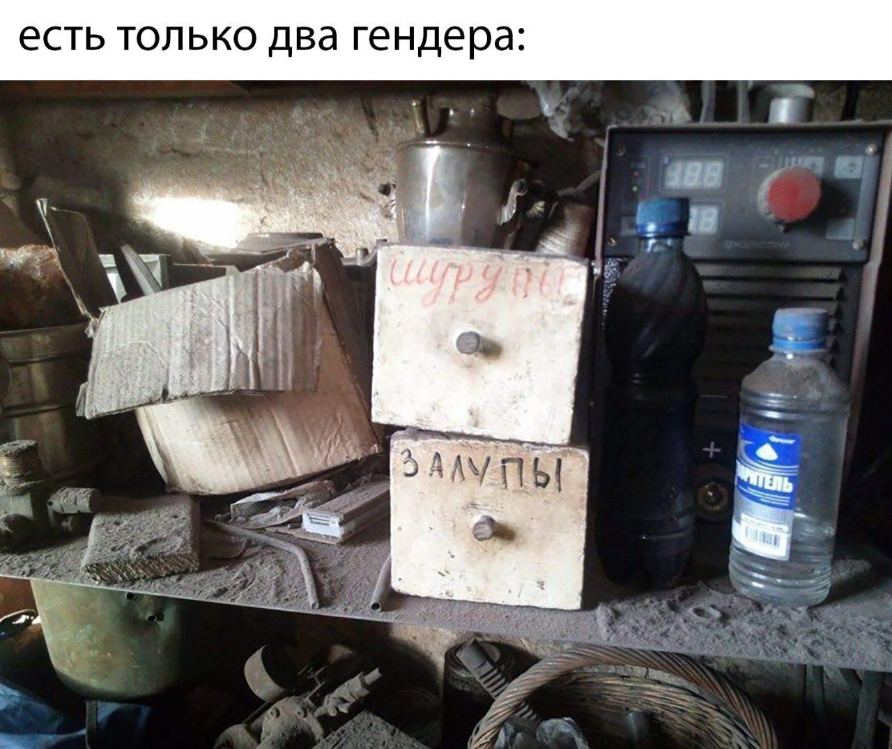 есть только два гендера: AAY