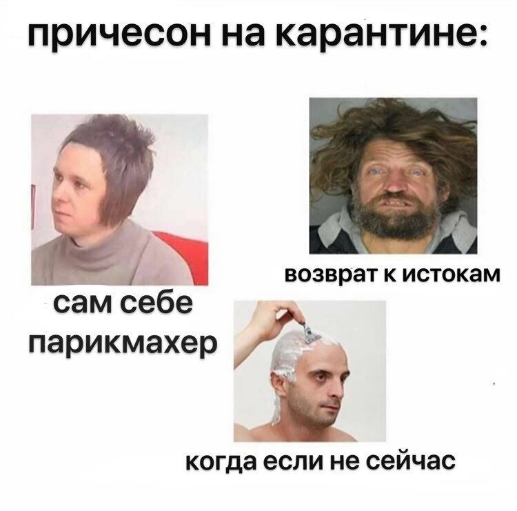 причесон на карантине: a 7 возврат к истокам сам себе парикмахер когда если не сейчас