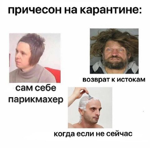 причесон на карантине: a 7 возврат к истокам сам себе парикмахер когда если не сейчас