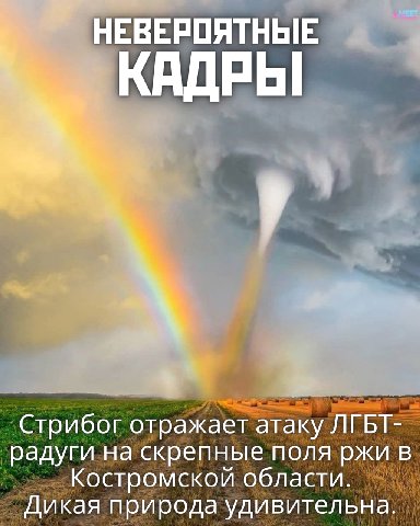 Оригинал взят у: Katzen und Politik