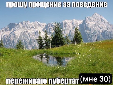 прошу прощение за поведение У ‘переживаю пубертат (мне 30)