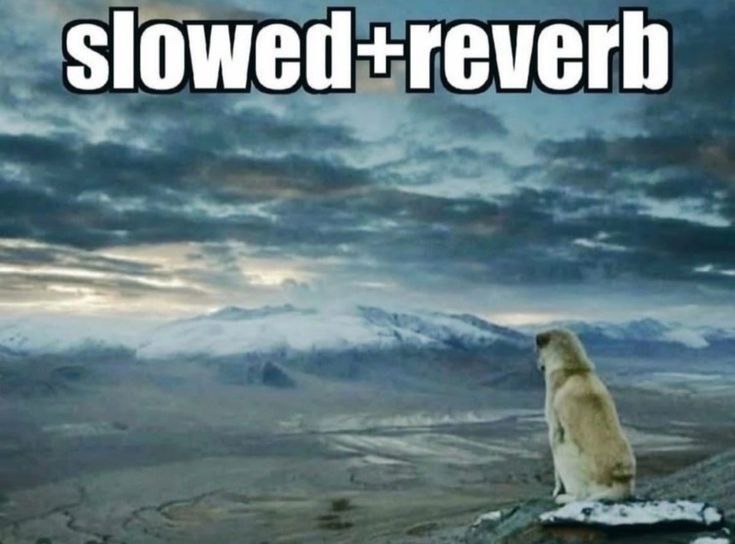 Slowed