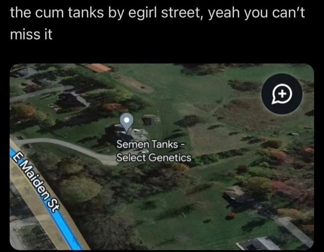 the cum tanks egirl street, yeah you can't miss It Semen Tanks Select Genetics fal