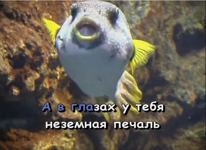4 A глазах неземная печаль