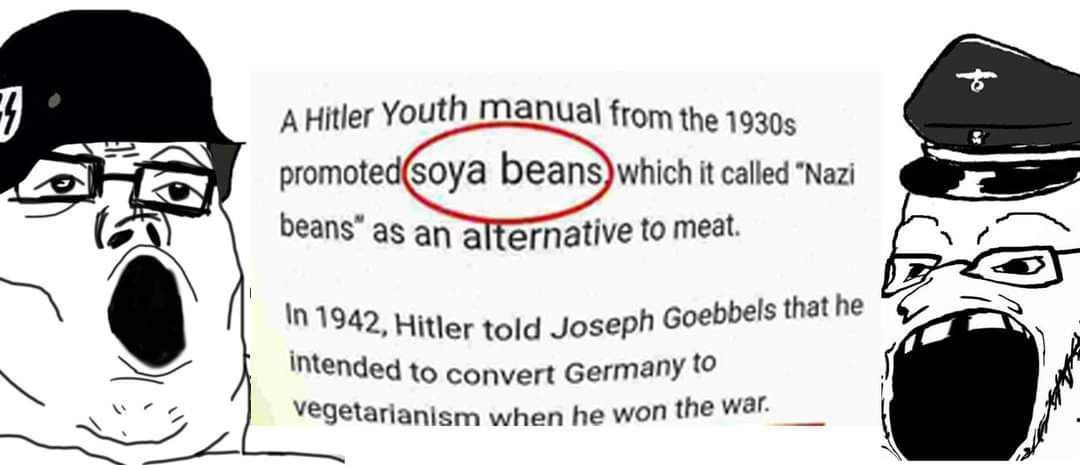 AHitler Youth Manual from the promoted(soya beans)which it called “Nazi beans” as an alternative to meat. a intended to convert Germany to a vegetarianism when he won the war.