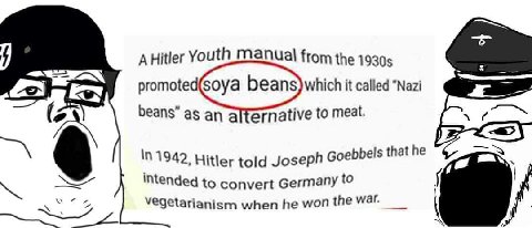 AHitler Youth Manual from the promoted(soya beans)which it called “Nazi beans” as an alternative to meat. a intended to convert Germany to a vegetarianism when he won the war.