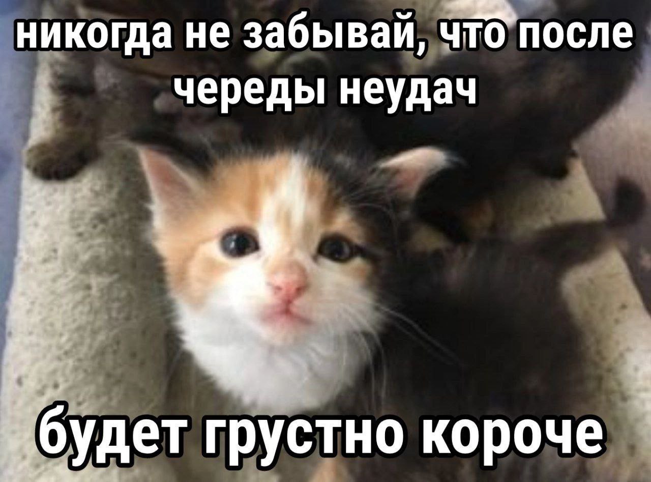 никогда не забывай, что’после череды неудач будет грустно короче