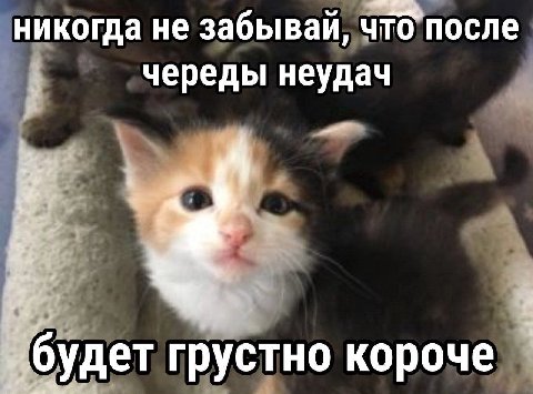 никогда не забывай, что’после череды неудач будет грустно короче