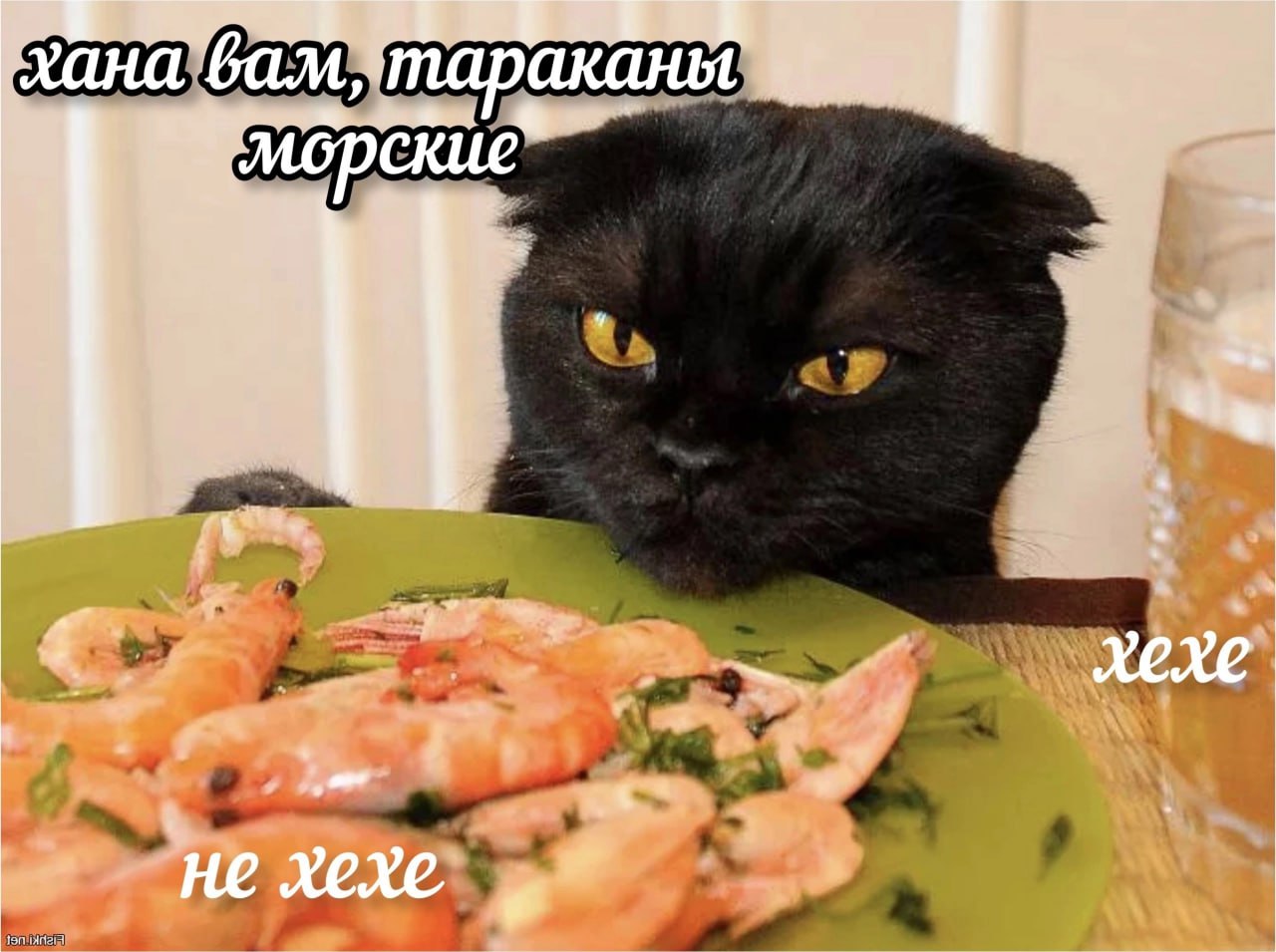 хана ‘вам хехе ‘не хехе