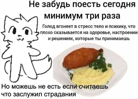 Не забудь поесть сегодня минимум три раза Голод вгоняет в стресс тело и психику, что плохо сказывается на здоровье, настроении и решениях, которые ты принимаешь Но можешь не есть что заслужил страдани