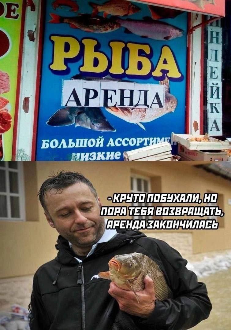 ДА 4 Ang А СОРТ БОЛЬШОЙ Ret КРУТО ПОБУХАЛИ, НО ПОРЯ ТЕБЯ ВОЗВРАЩАТЬ, ЗАКОНЧИЛАСЬ