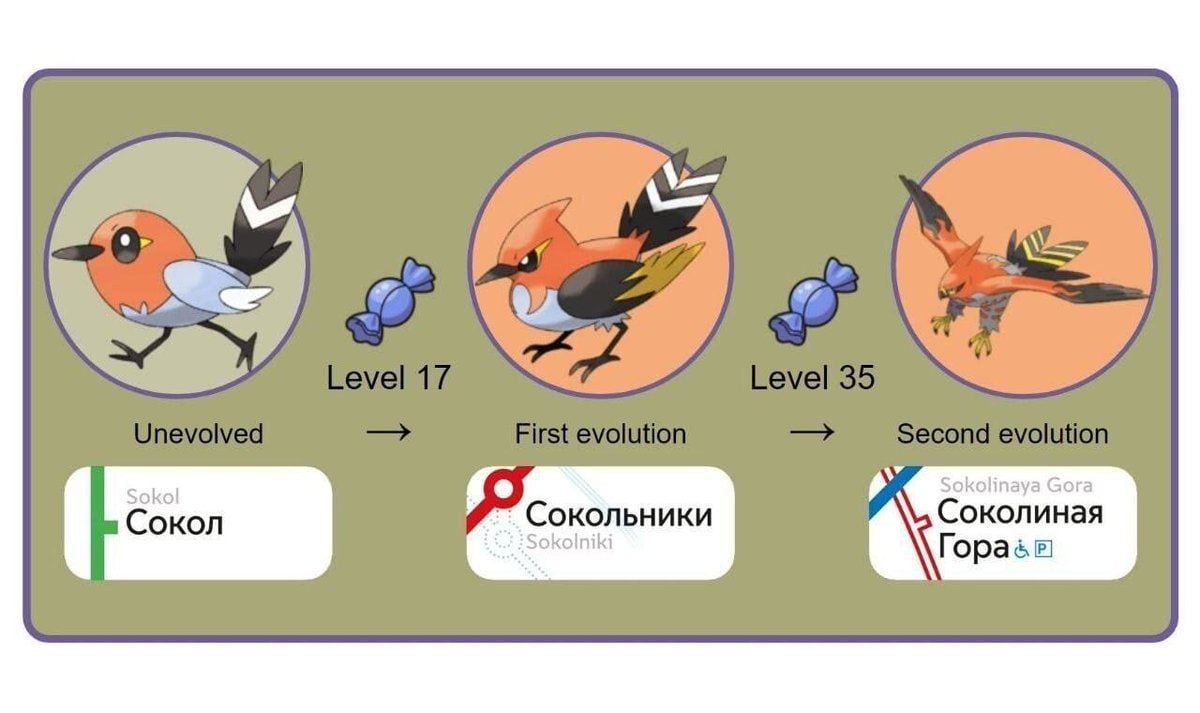 Sokol Sokolinaya Gora Сокол Сокольники Соколиная Гора