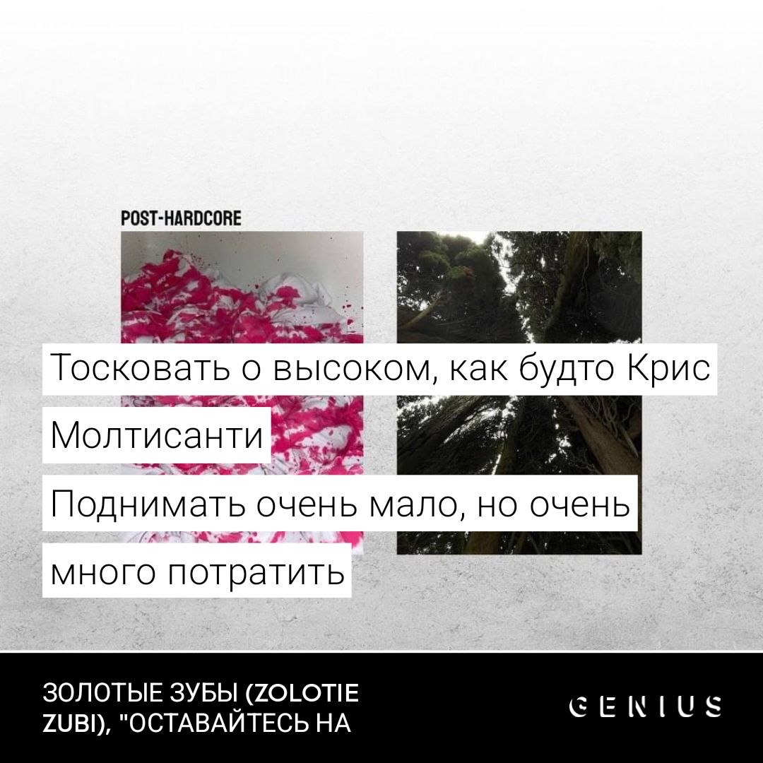 РОЗТ-НАВОСОВЕ i “a Тосковать о высоком, как будто Крис Поднимать очень мало, но очень много потратить ЗОЛОТЫЕ ЗУБЫ (ZOLOTIE ZUBI), "ОСТАВАЙТЕСЬ
