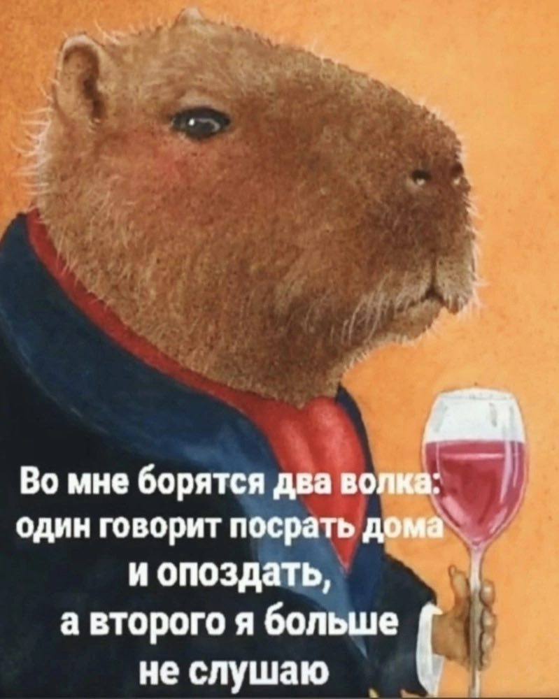Во мне борятся два волка: один говорит посрать дома и опоздать, а второго я больше не слушаю