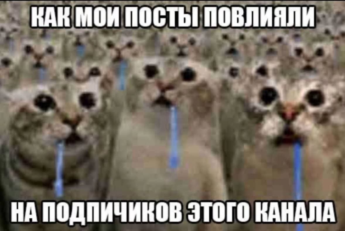 КАК МОИ ПОСТЫ! ПОВЛИЯЛИ НА ЭТОГО КАНАЛА